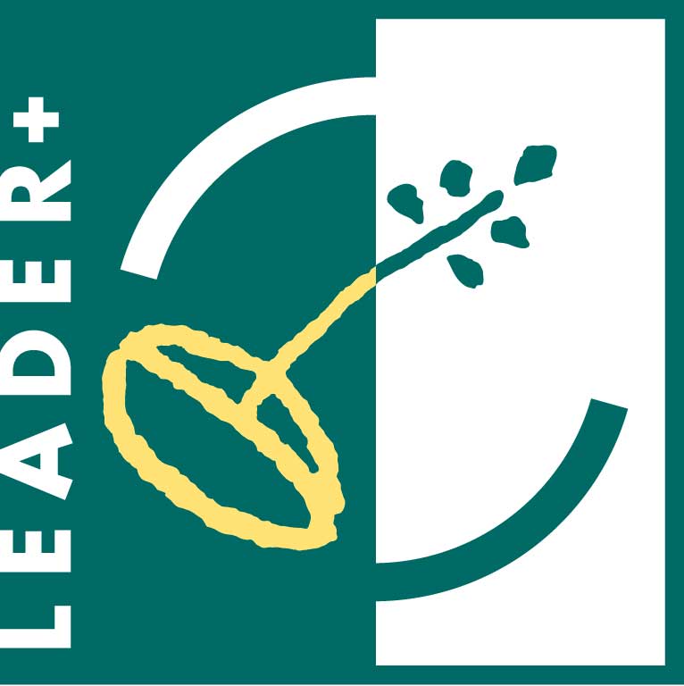 leader plus logo